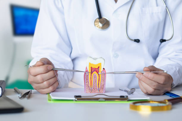 Best Orthodontic Emergency Dentist in Britt, IA